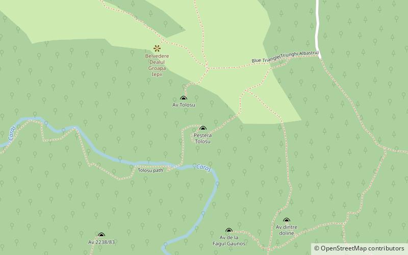 tolosu cave semenic cheile carasului national park location map