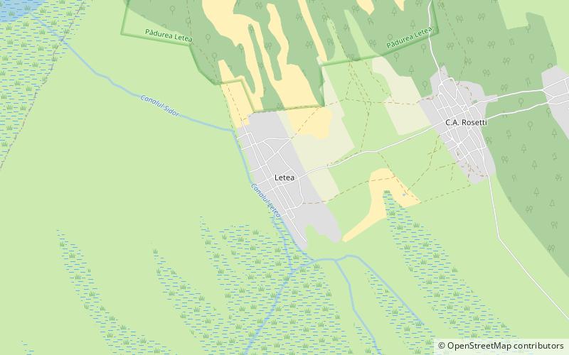 Letea Forest location map