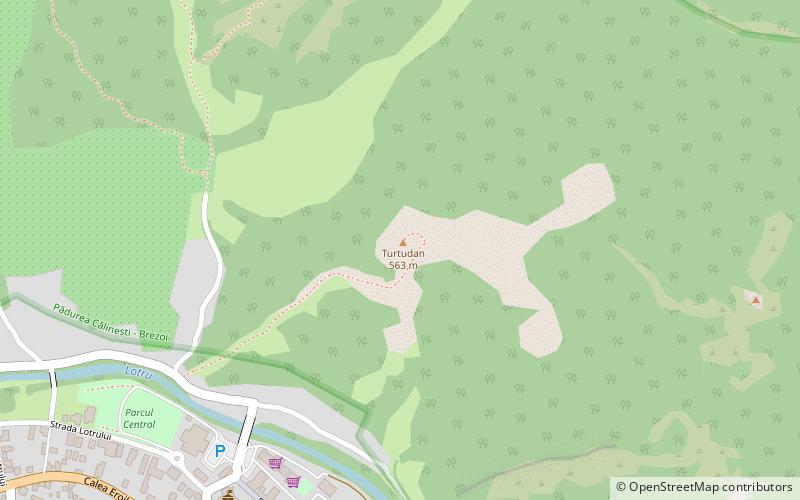 turtudan cozia national park location map