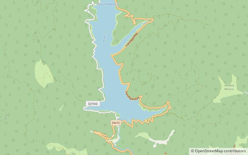 Lake Vidraru location map