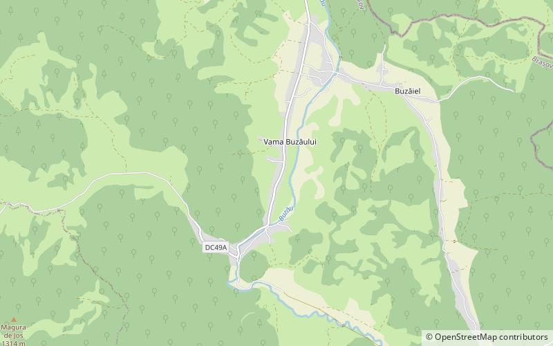Vama Buzăului location map