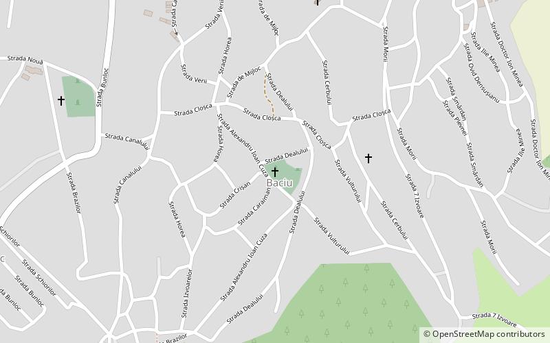baciu church sacele location map