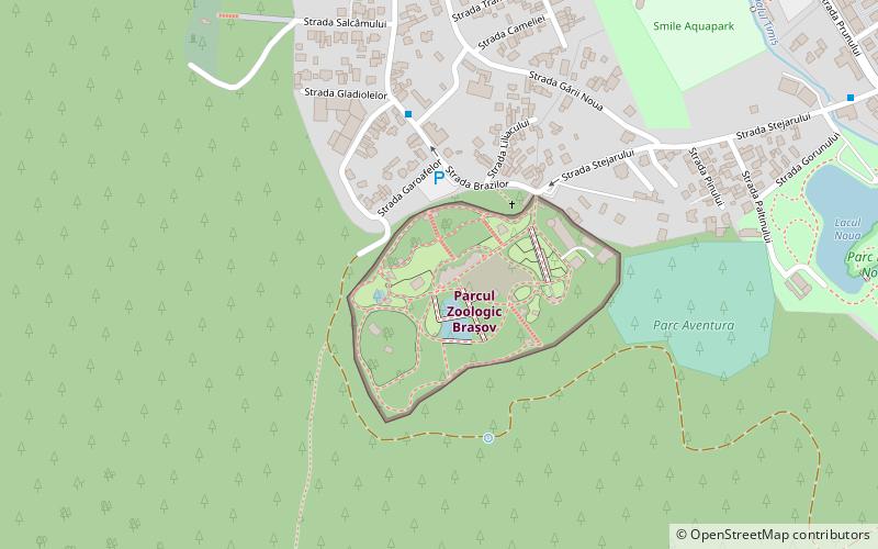 Zoo Brasov location map
