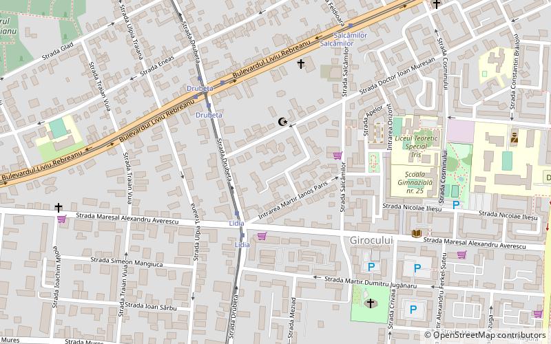 plavat timisoara location map