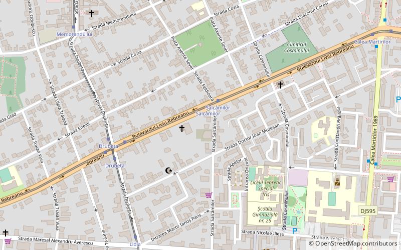 soarelui timisoara location map