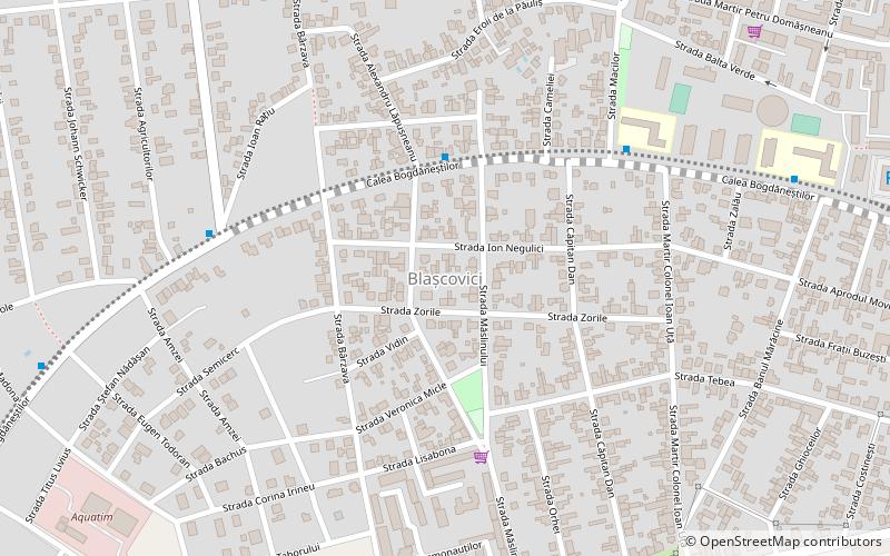 Blașcovici location map