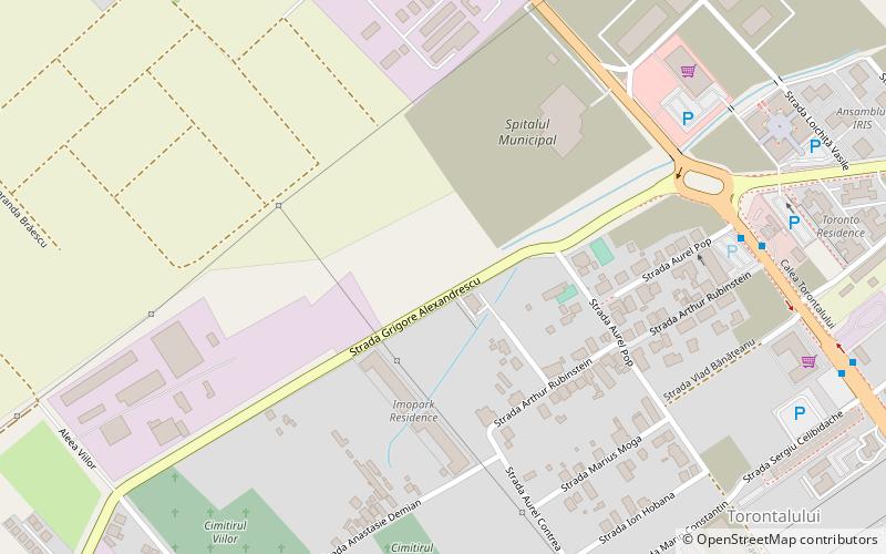 aradului timisoara location map