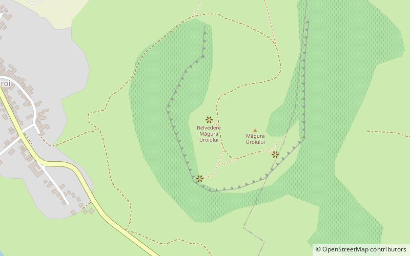 Măgura Uroiului Project location map