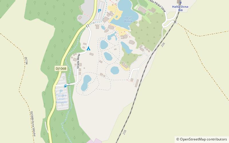 lake brancoveanu ocna sibiului location map