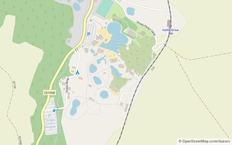 lake randunica ocna sibiului location map