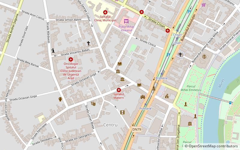 iosif sarbut theatre arad location map