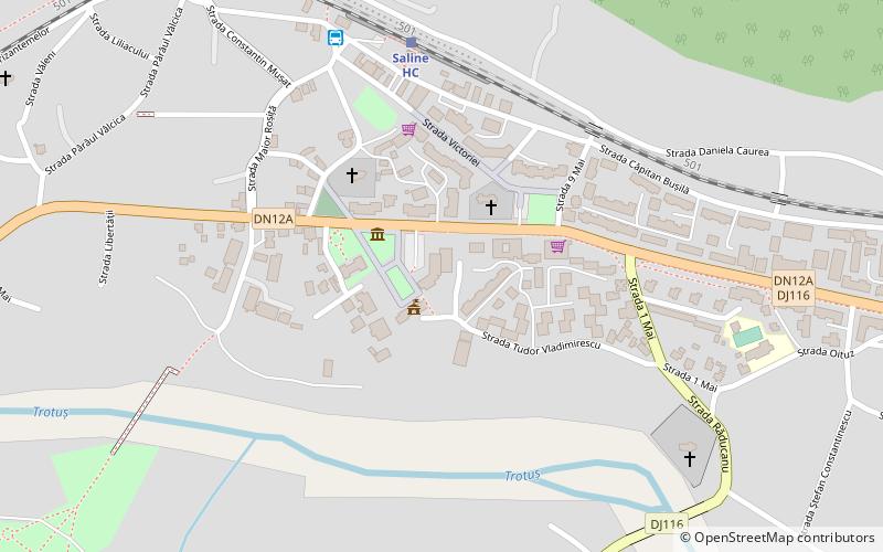 Târgu Ocna location map