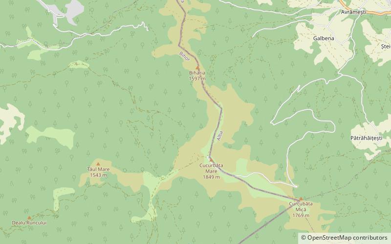 Bihor Mountains location map