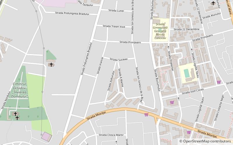 centrul maternal bacau location map