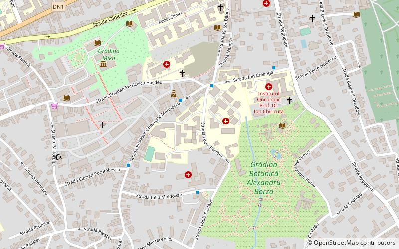 Université de médecine et pharmacie Iuliu Hațieganu location map