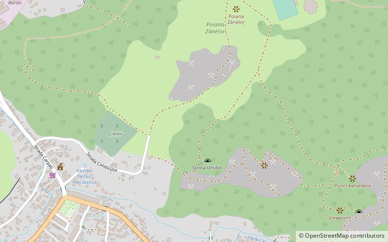 grota ursilor borsec location map