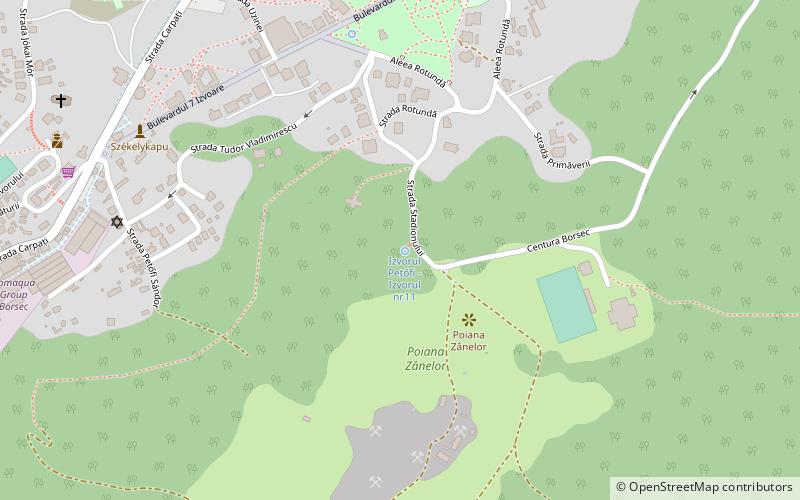 borviz forras borsec location map