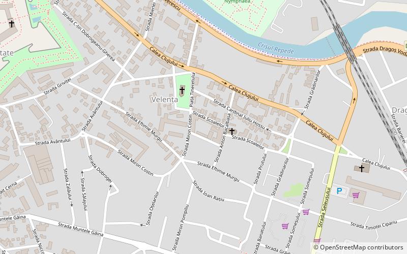 agora university oradea location map