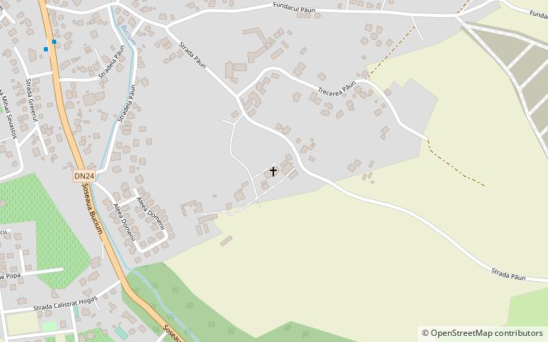 Bucium Monastery location map
