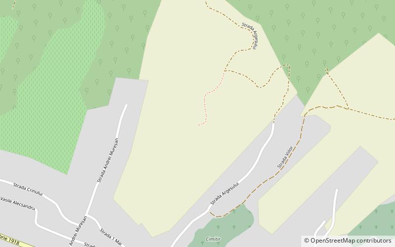 Dacidava location map