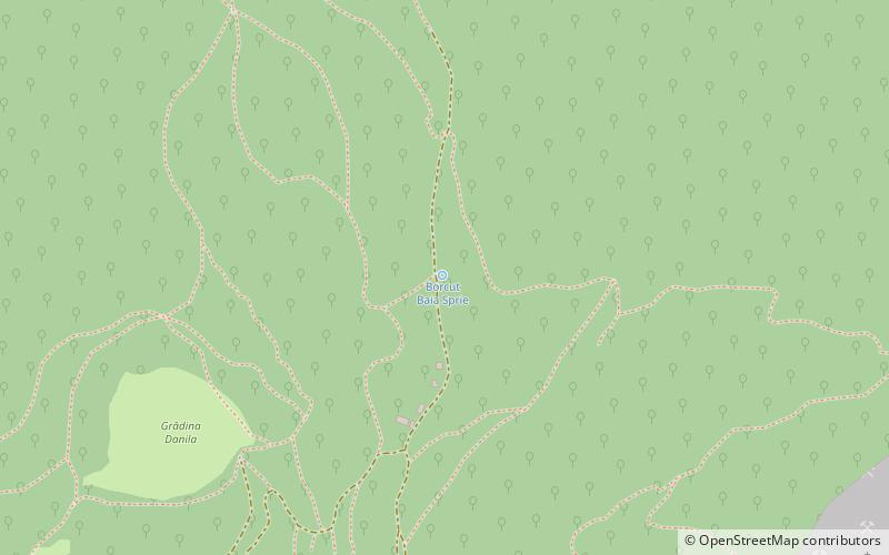 borcut baia sprie location map