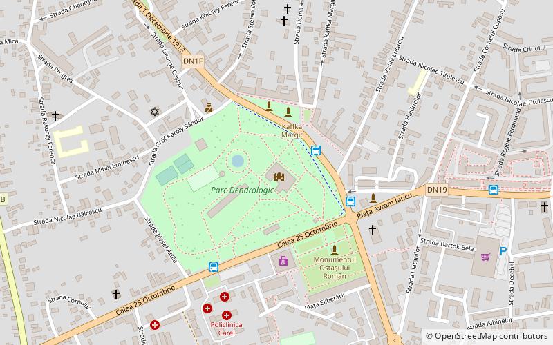 carei city museum location map