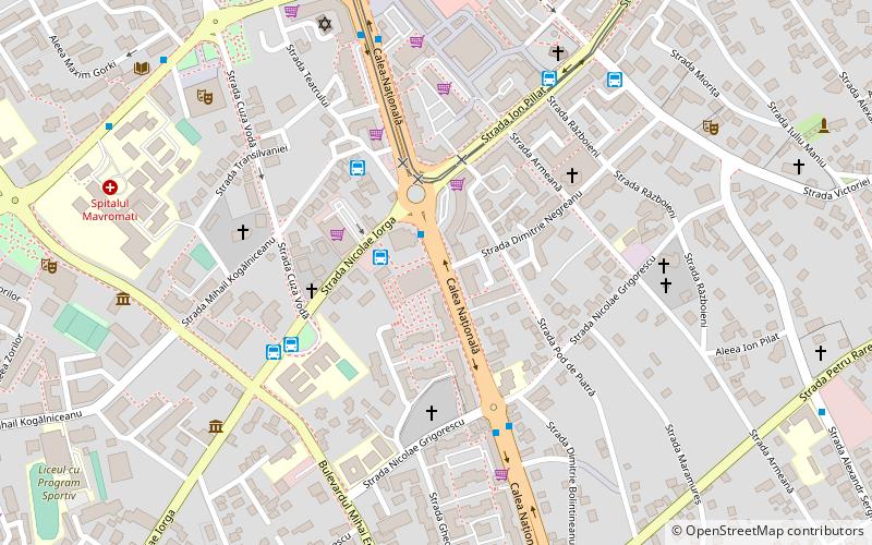 bazar tati botosani location map