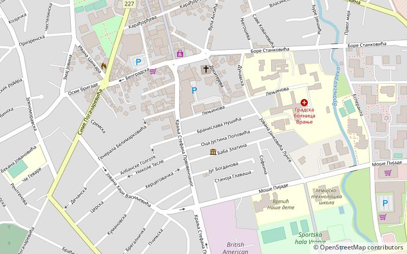 city municipality of vranje location map
