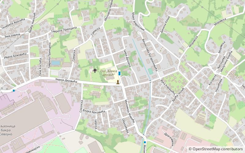 Sevojno location map
