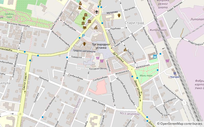 robna kuca partizanka cacak location map