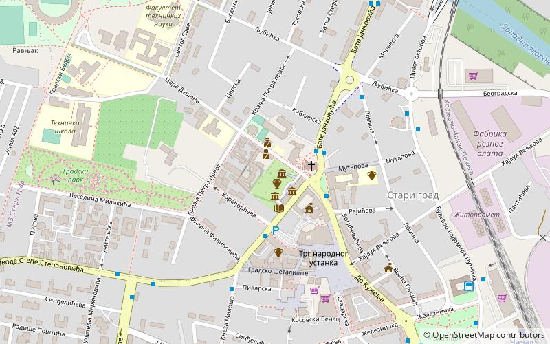 spomenik vladislavu petkovicu disu cacak location map