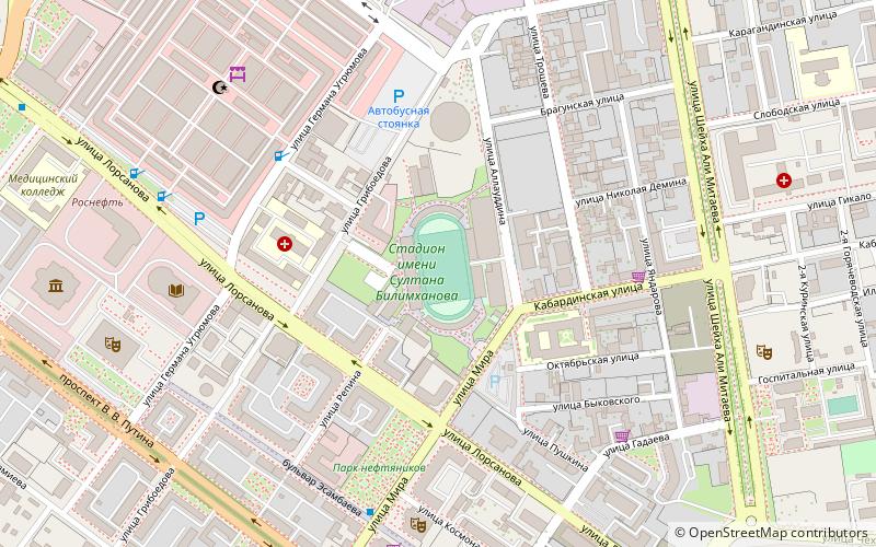 sultan bilimkhanov stadium grosny location map