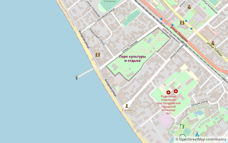 ferris wheel lazarevskoye microdistrict location map