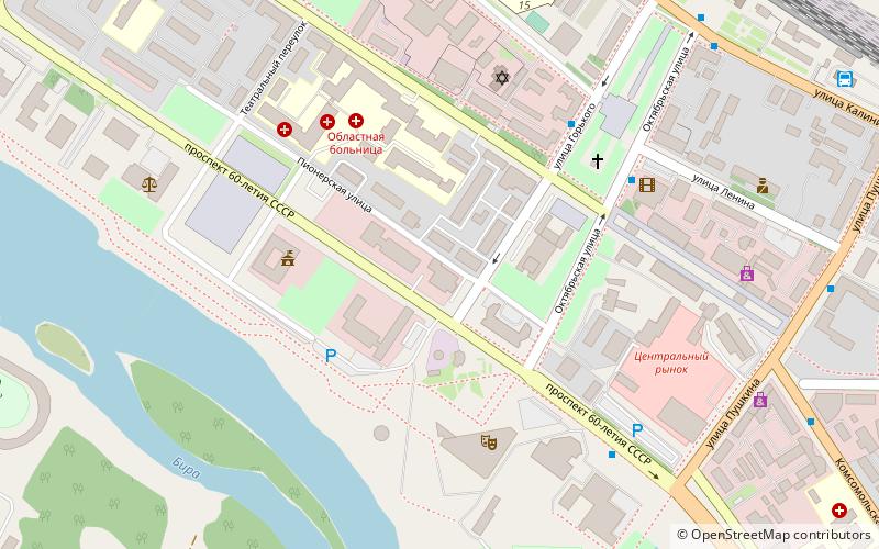 david birobidzhan location map