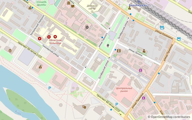 feniks birobidzhan location map