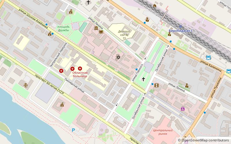 synagoga birobidzan location map