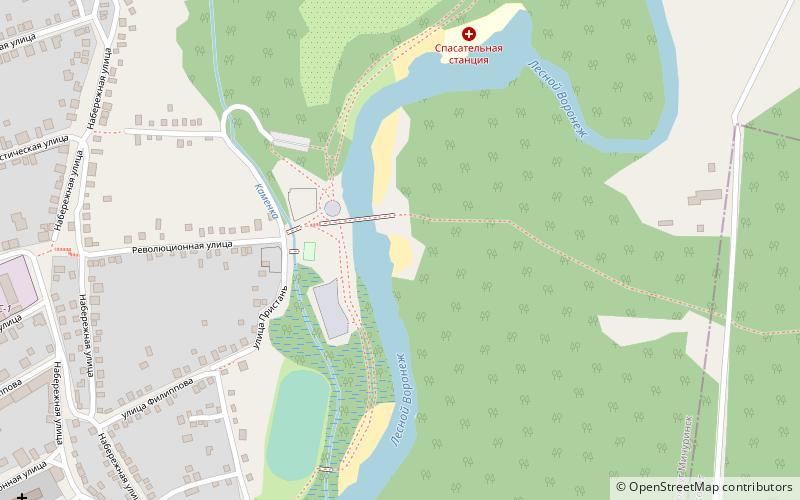 muzskoj michurinsk location map