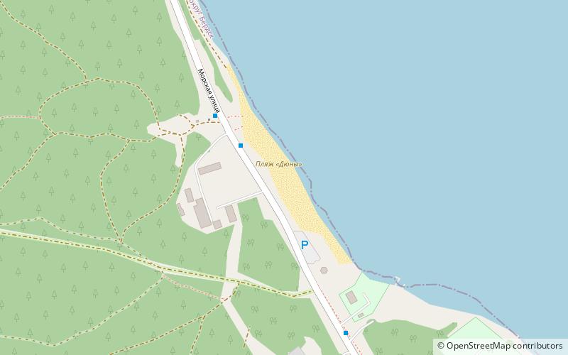 plaz duny berdsk location map