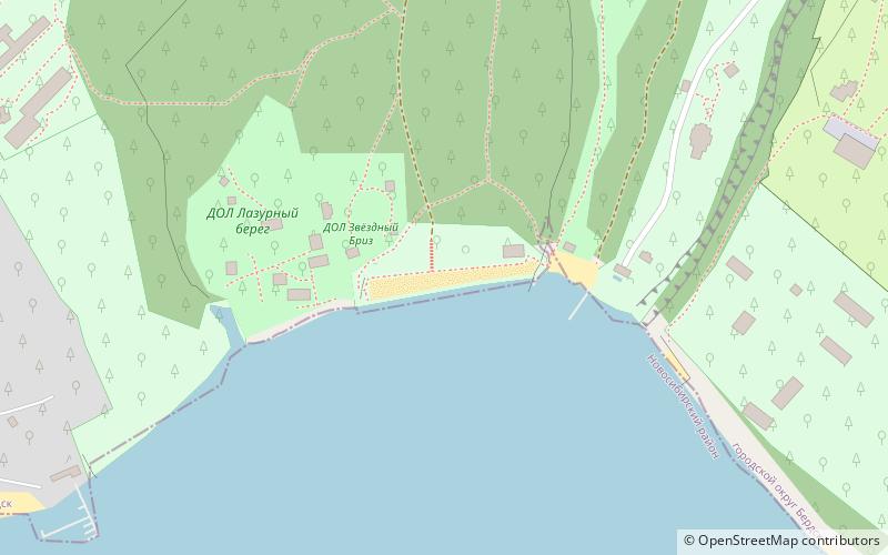plaz sosnovka berdsk location map