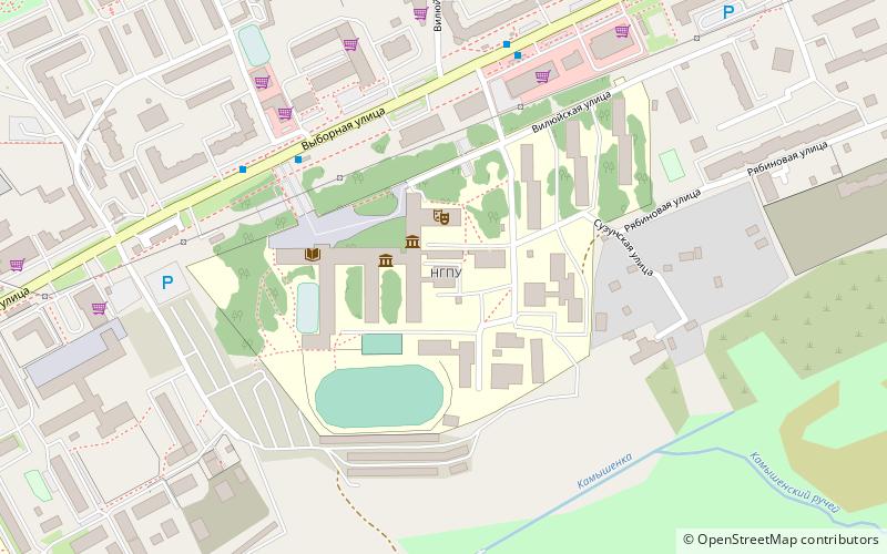 Novosibirsk State Pedagogical University location map