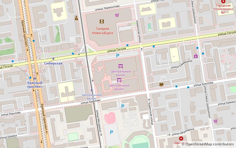 central market novosibirsk location map