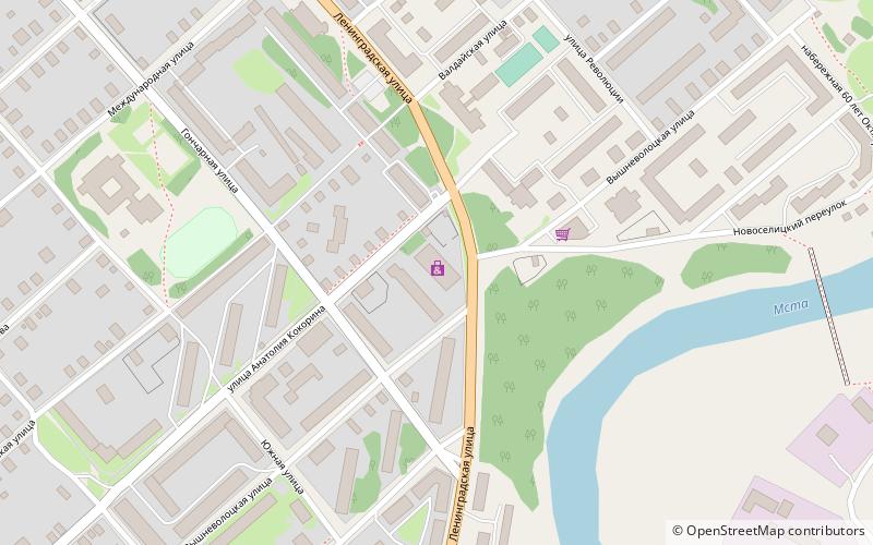 siluet borovichi location map