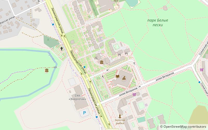 hudozestvennyj muzej sosnovy bor location map