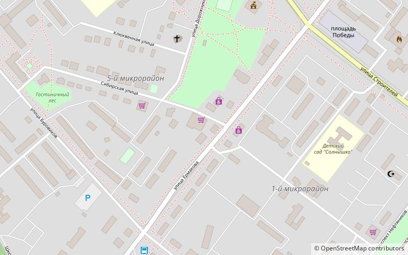 Strezhevoy location map