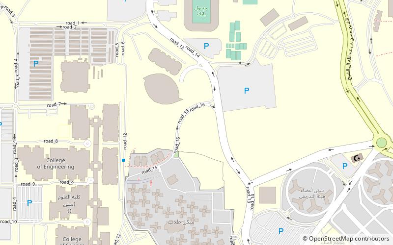 Université du Roi-Saoud location map