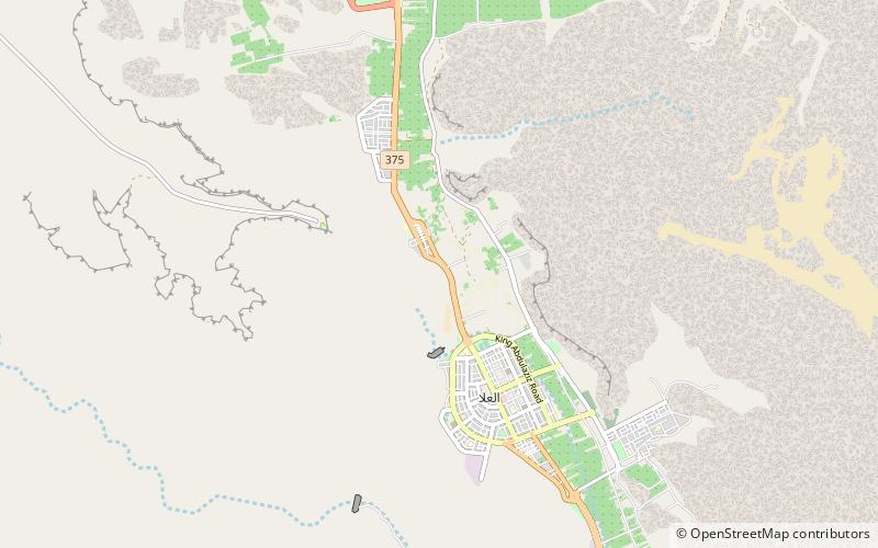 dedan location map
