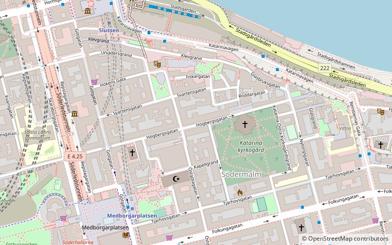 Mosebacke location map