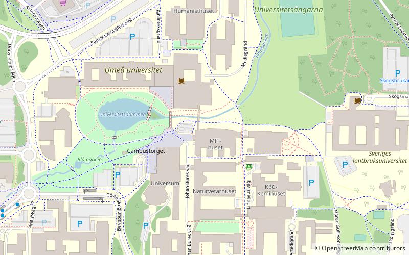 Umeå universitet location map