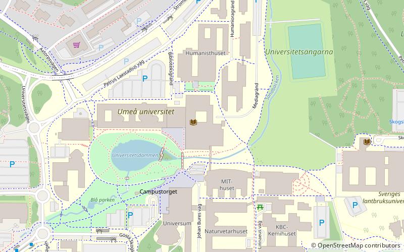 Umeå universitetsbibliotek location map