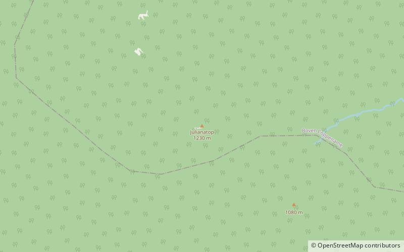 julianatop surinamese rainforest location map